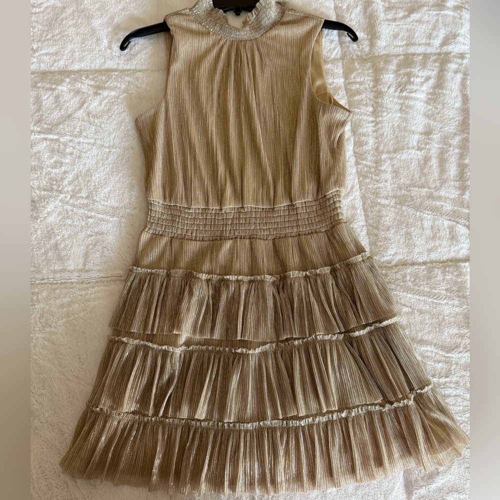 Express Gold Tiered Woman’s Dress